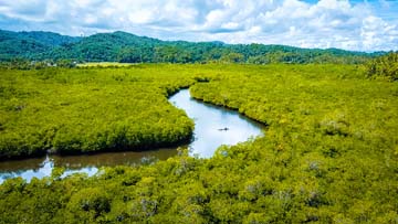 <b class="font-bara"><i class="bi bi-geo-fill h4"></i> BAYABAS MANGROVE FOREST & MUD CRAB SANCTUARY</b> <br/>